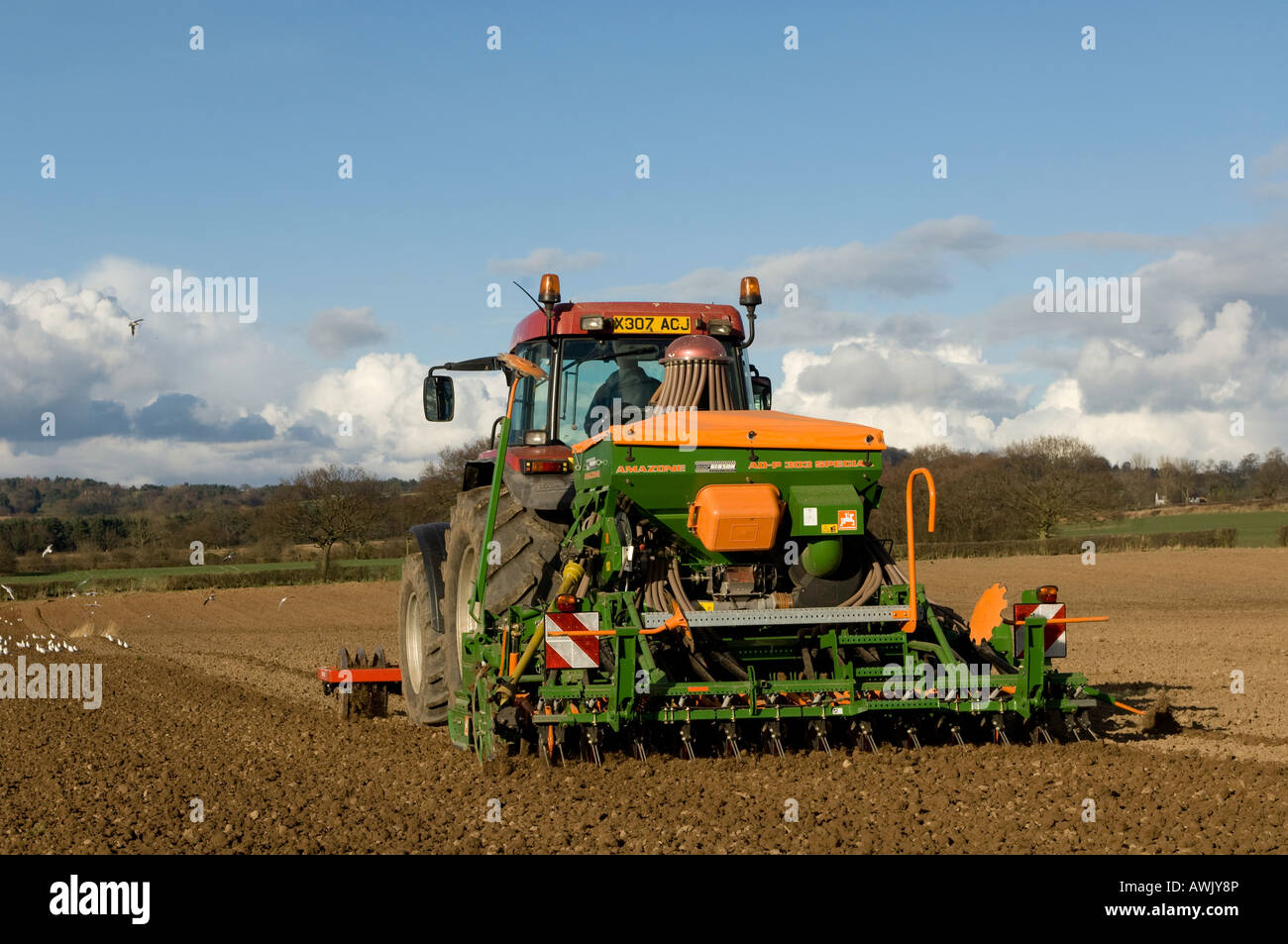 La plantation d'agriculteur haricots avec un semoir pneumatique monté sur un tracteur Maxxum Case équipé de disques montés à l'avant Banque D'Images