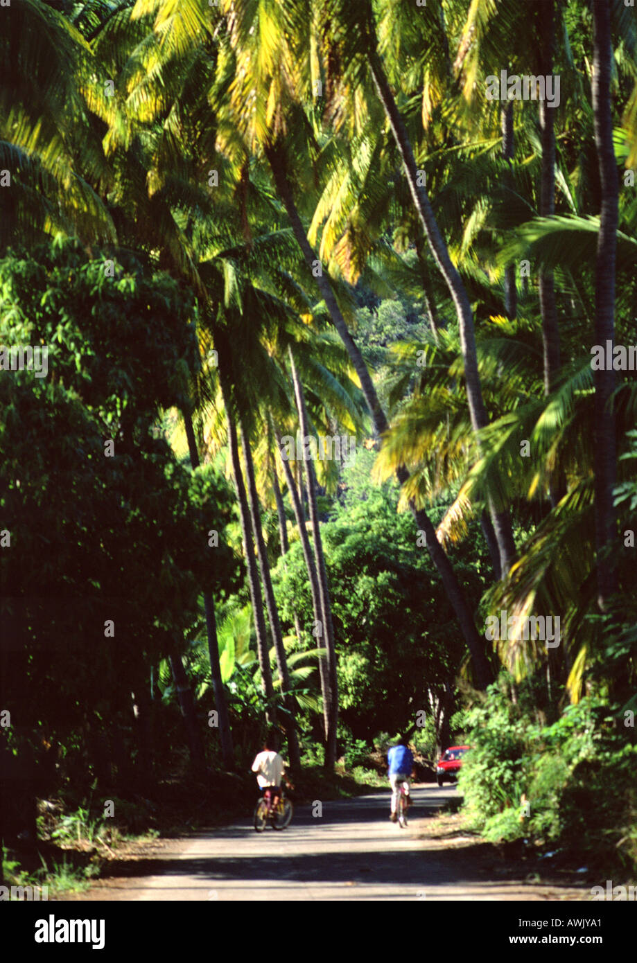 La réunion, les gens sur des vélos sur le chemin à travers la forêt tropicale Banque D'Images