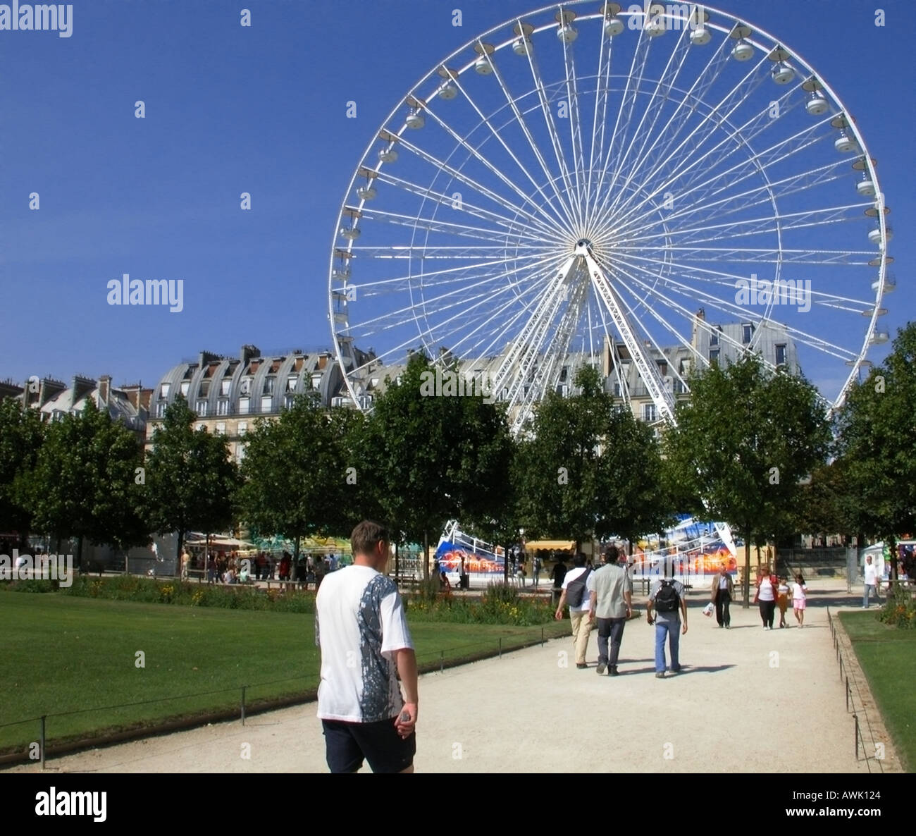 France Paris grande roue dans le jardin des tuileries Banque D'Images
