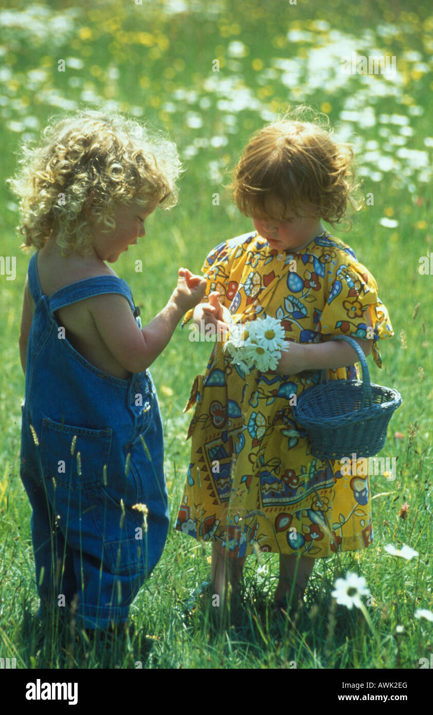 Cueillette de fleurs d'enfants dans un pré Banque D'Images