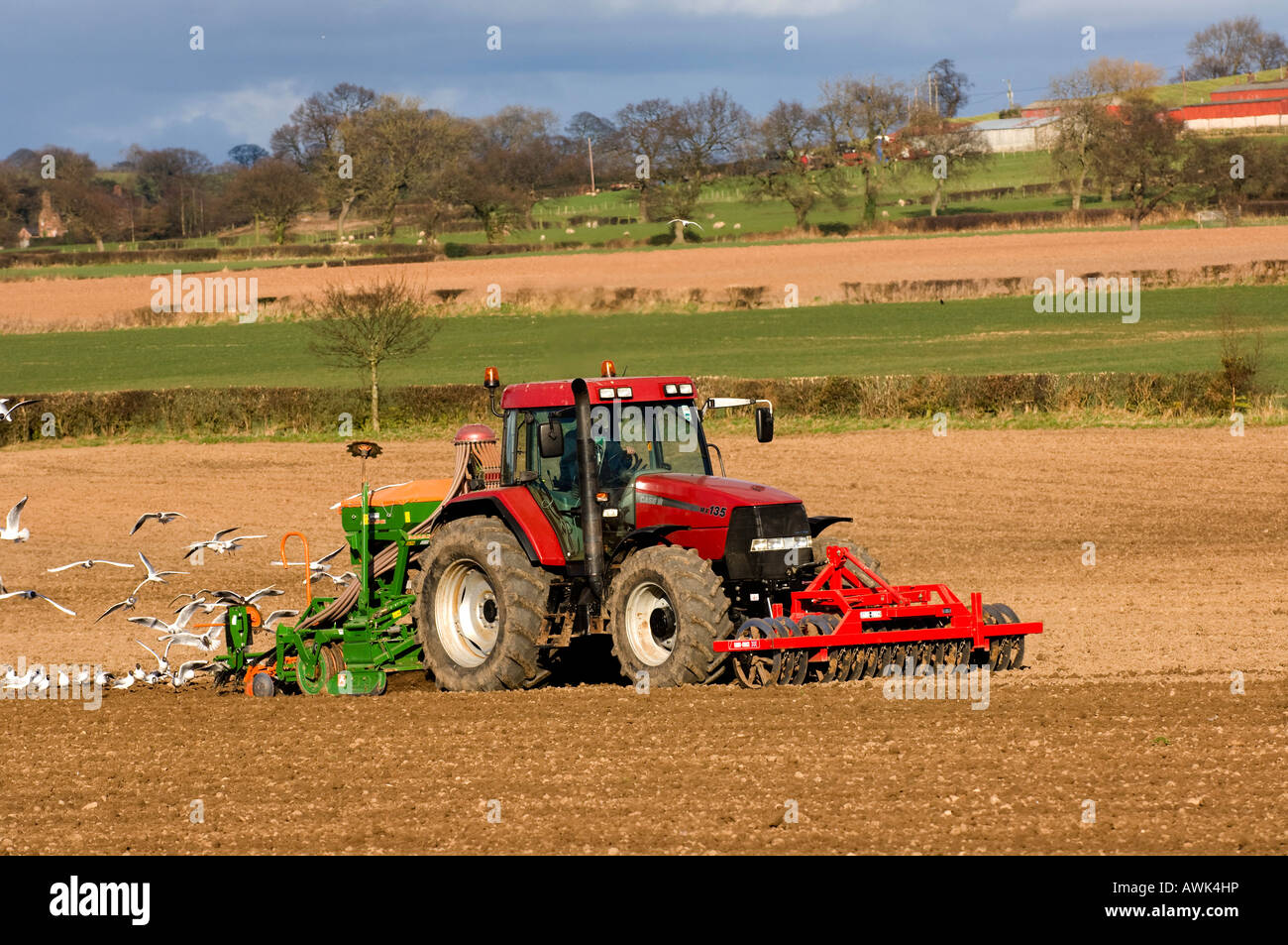 La plantation d'agriculteur haricots avec un semoir pneumatique monté sur un tracteur Maxxum Case équipé de disques montés à l'avant Banque D'Images