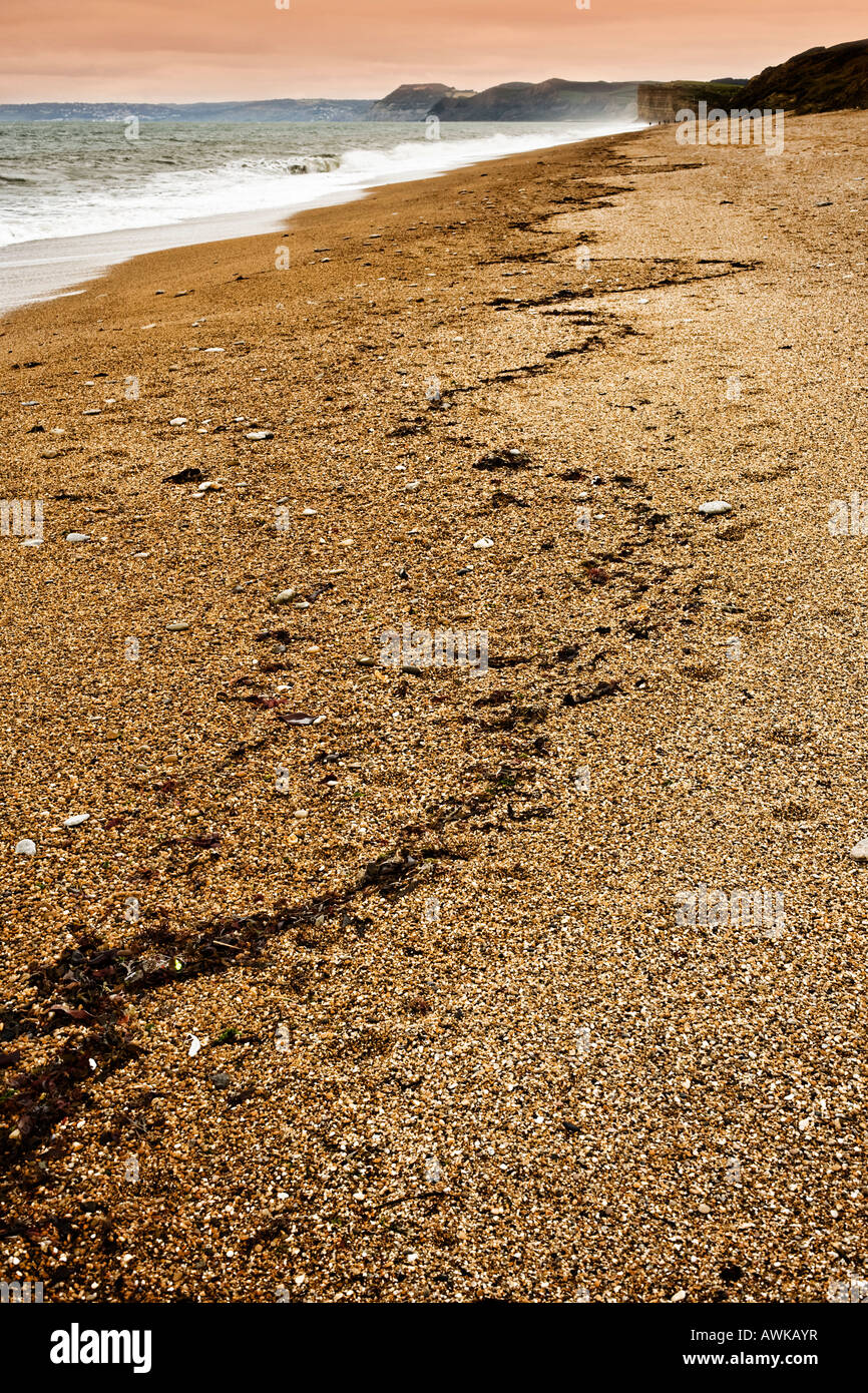 Afficher le long de la côte du Dorset à Cogden Beach à Burton Bradstock, Dorset, England, UK au coucher du soleil Banque D'Images