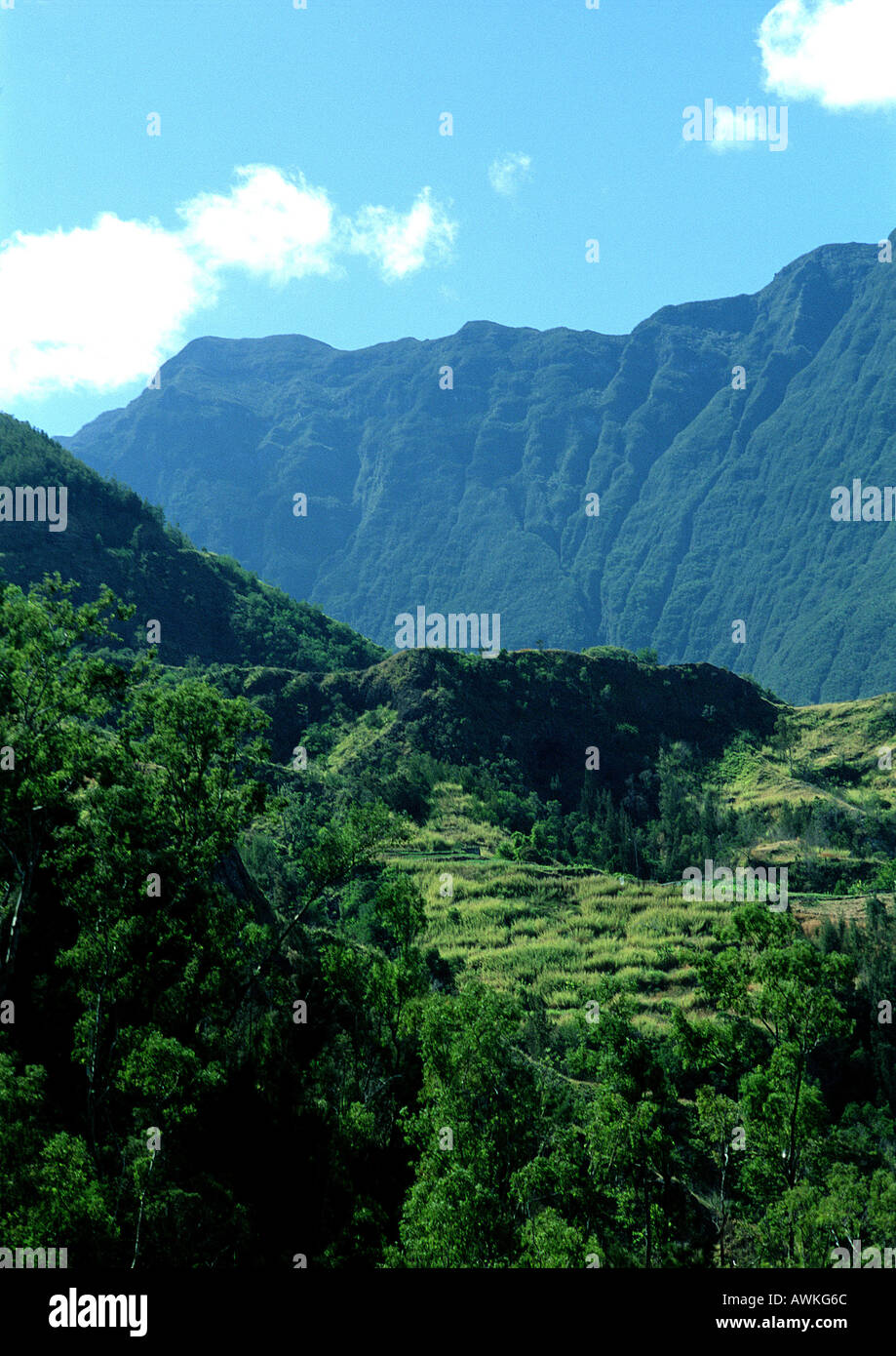 Paysage montagneux, Réunion (île française dans l'Océan Indien) Banque D'Images