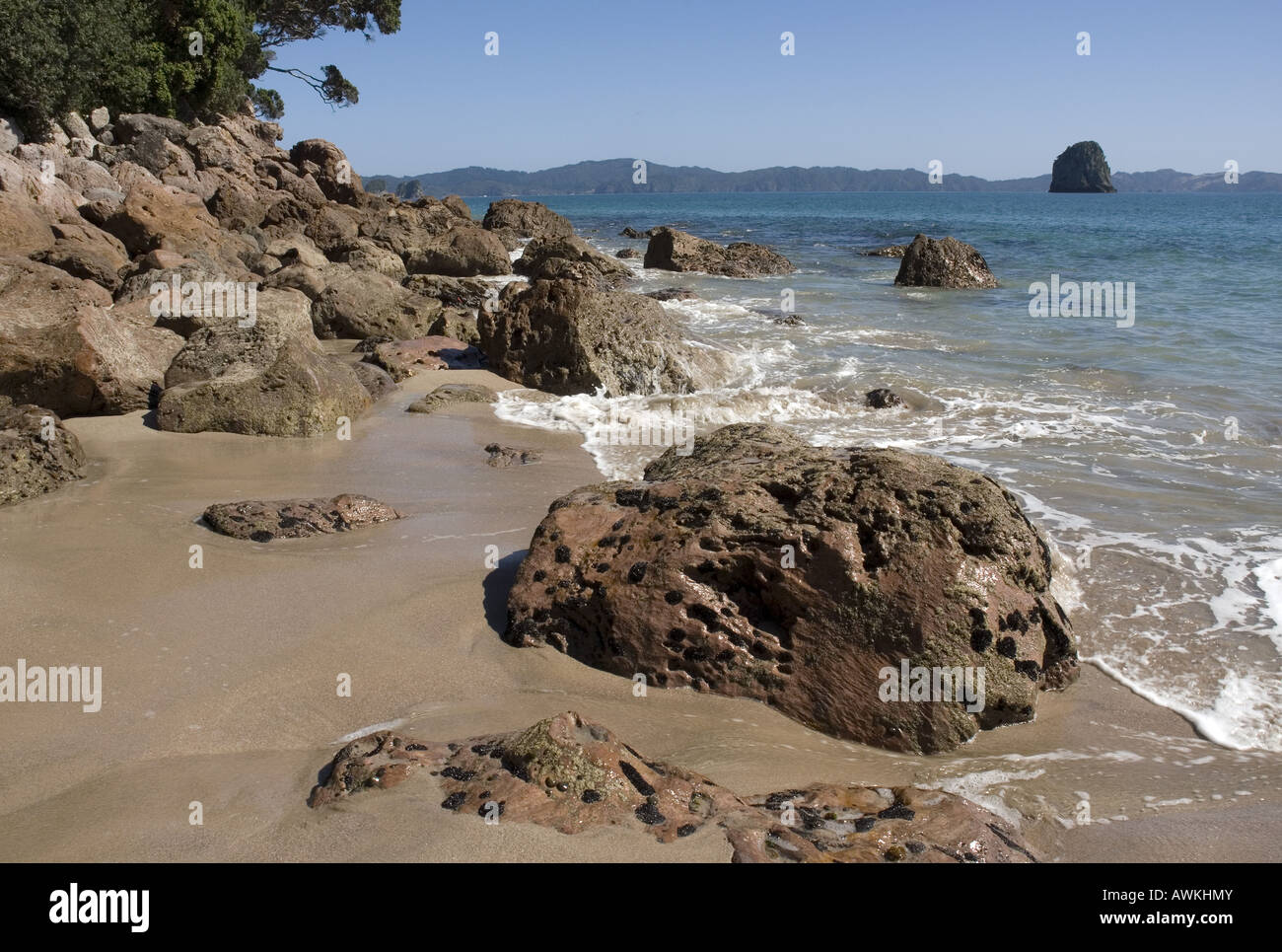 Cathedral Cove près de Hahei sur la péninsule de Coromandel, Nouvelle-Zélande Banque D'Images