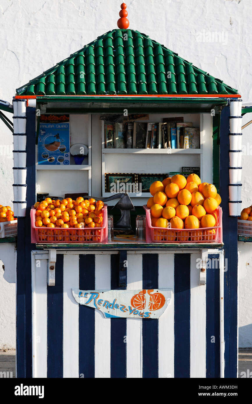 Vente kiosque pittoresque historique oranges, Médina, Marrakech, Maroc, Afrique Banque D'Images