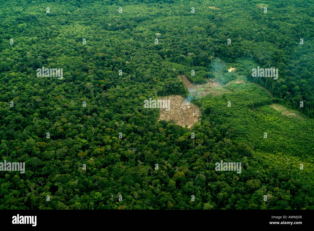 Pour l'écartement de la forêt tropicale à petite échelle de l'agriculture sur brûlis déforestation Amazon Pérou Banque D'Images