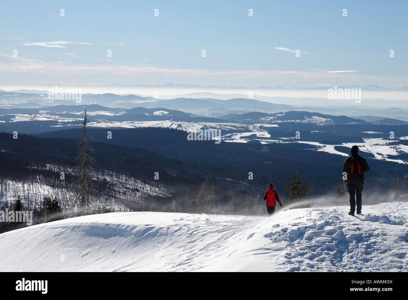 Vue sur les Alpes à partir de Mt. Lusen, Nationalpark Bayerischer Wald (forêt de Bavière), Parc National de la Basse Bavière, Bavaria, Germa Banque D'Images