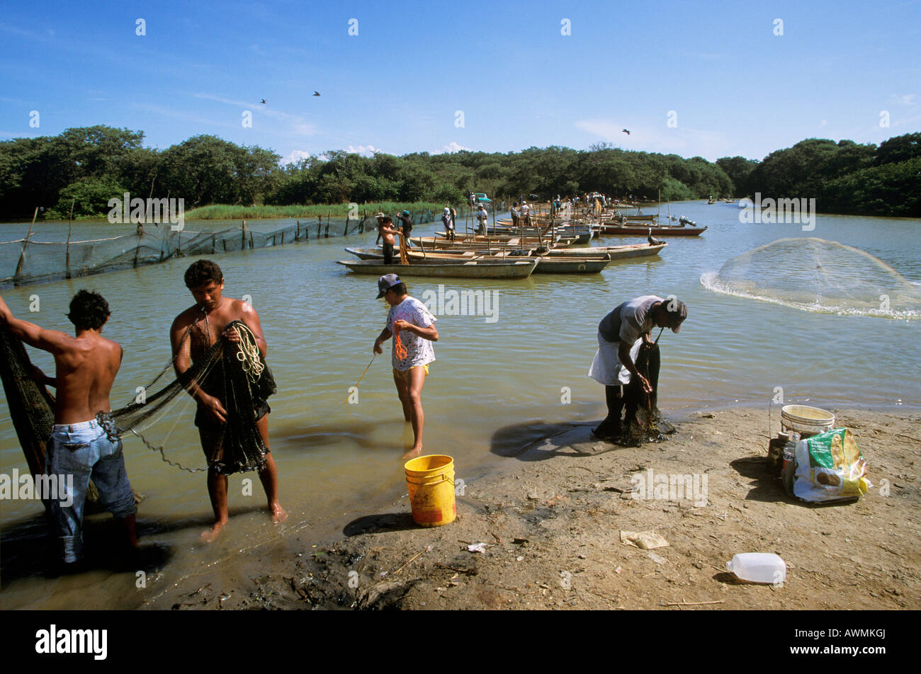 Les pêcheurs, Laguna de Unare, El Hatillo, Anzoategui, Venezuela, Amérique du Sud Banque D'Images