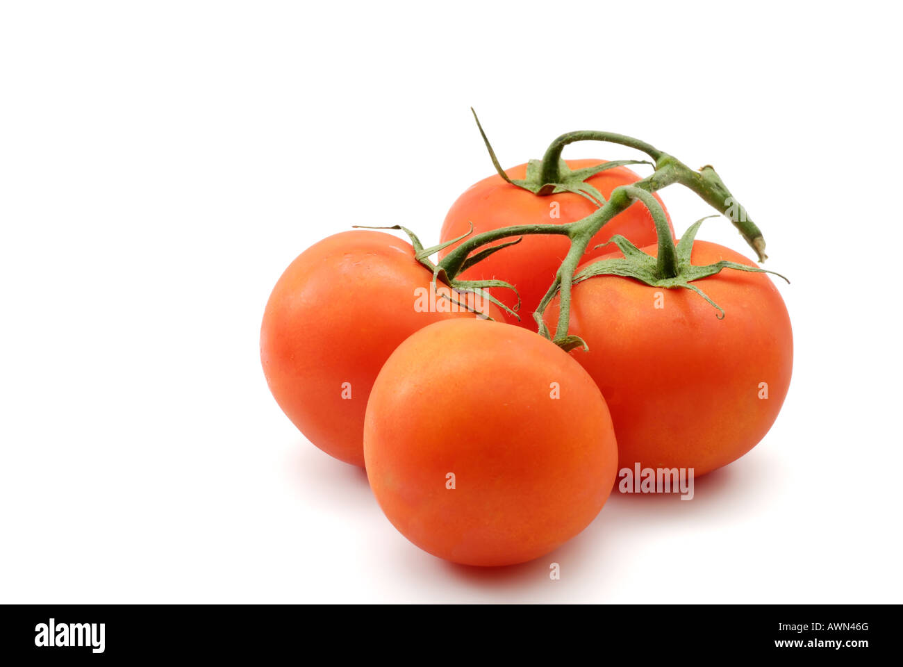4 tomates mûres sur vine Banque D'Images