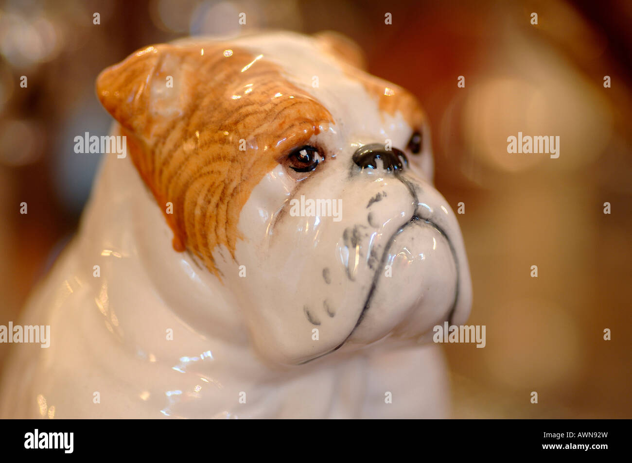 Figurine porcelaine Bulldog, detail shot Banque D'Images