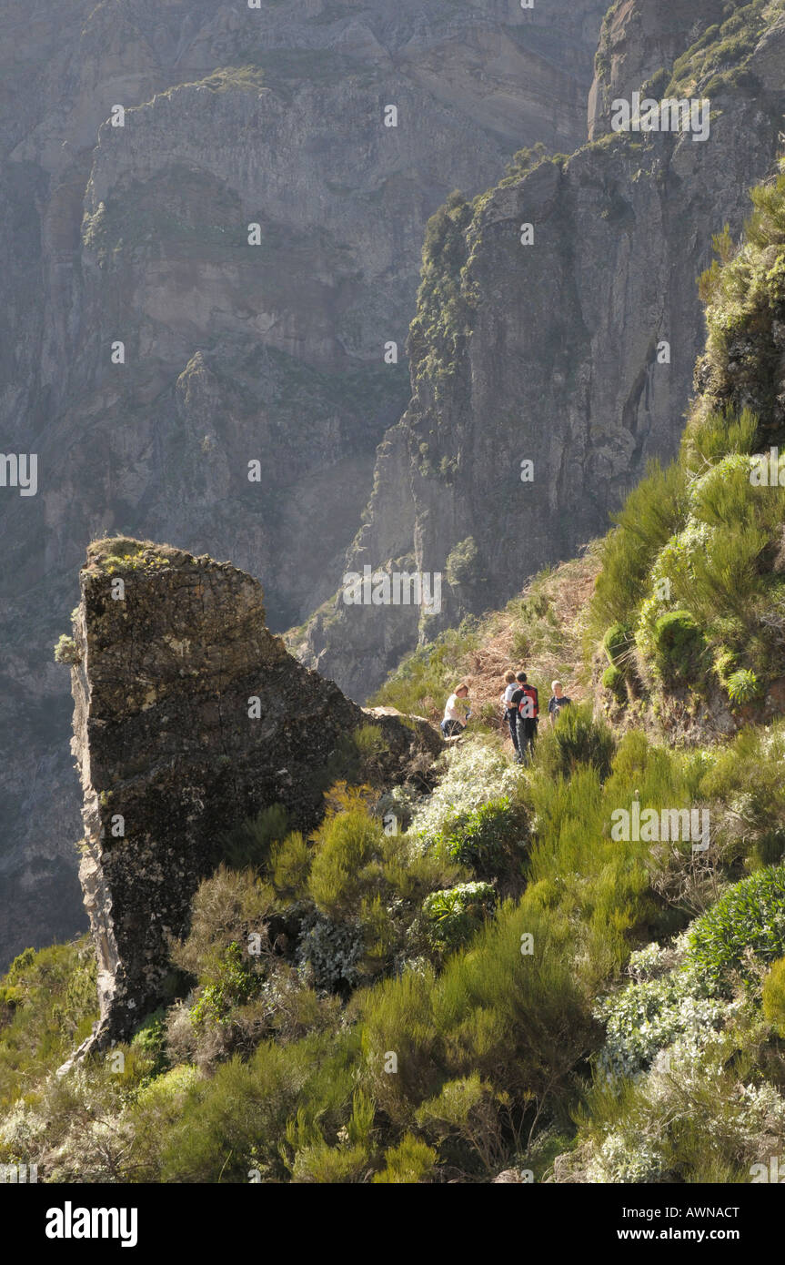 Paysage de montagne, montagnes centrales, Madeira, Portugal, Océan Atlantique Banque D'Images