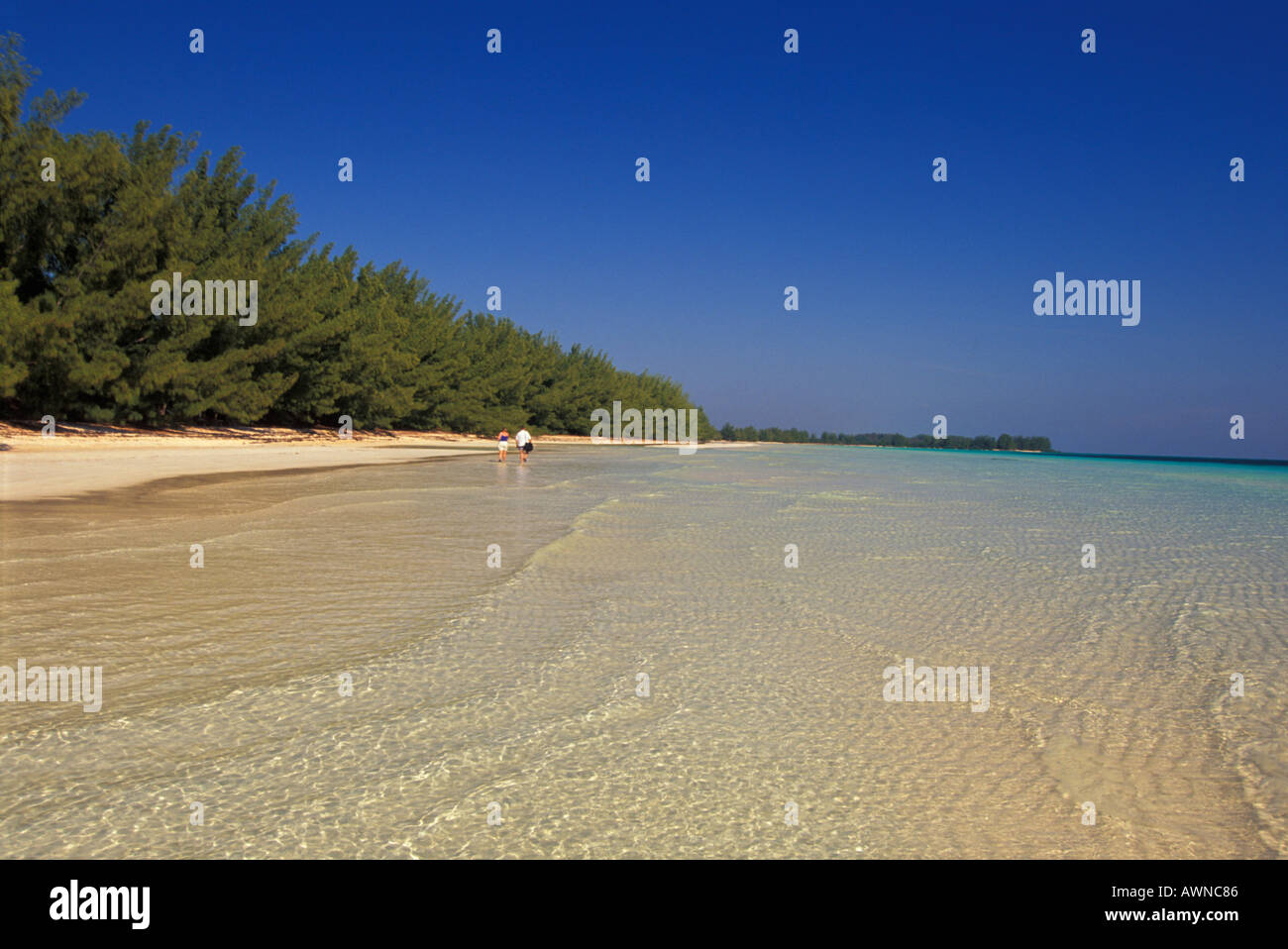 L'île de Grand Bahama Banque D'Images