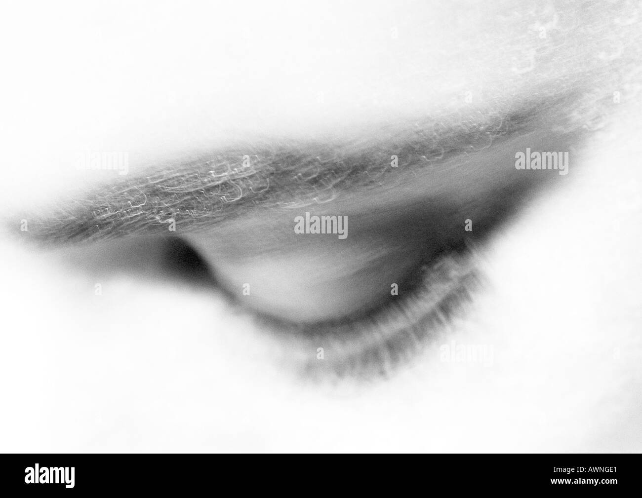 La femme, l'oeil fermé close-up, noir et blanc. Banque D'Images