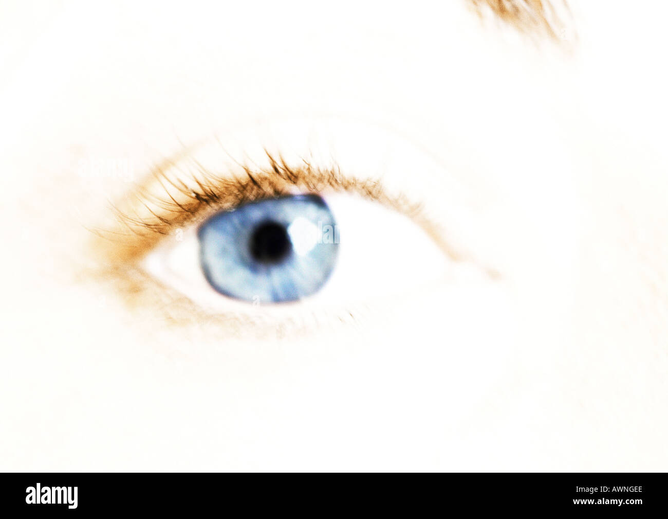 Woman's blue eye, extreme close-up. Banque D'Images