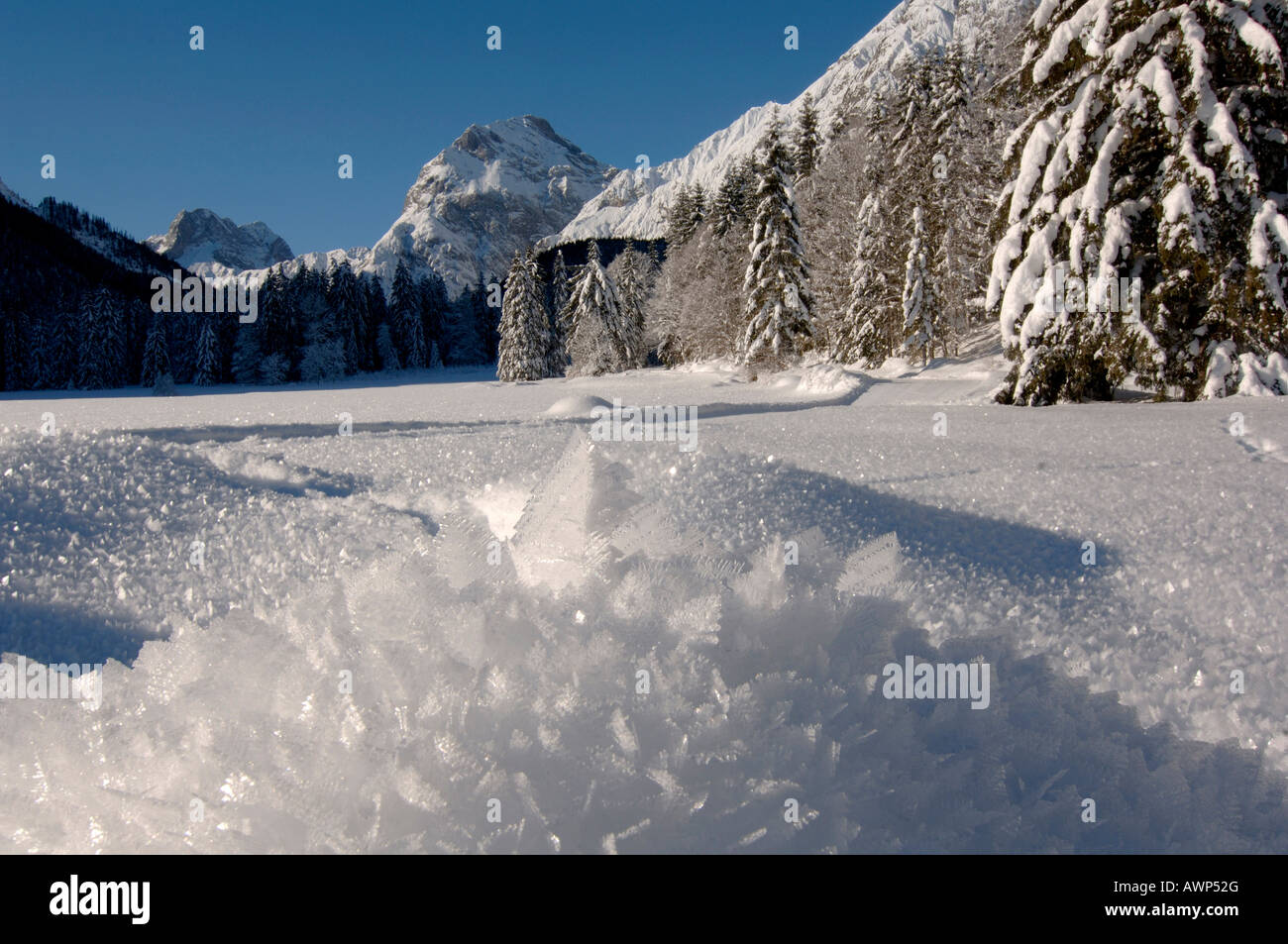 Des cristaux de glace, gamme Karwendel en arrière-plan, l'Amérique du Tyrol, Autriche, Europe Banque D'Images