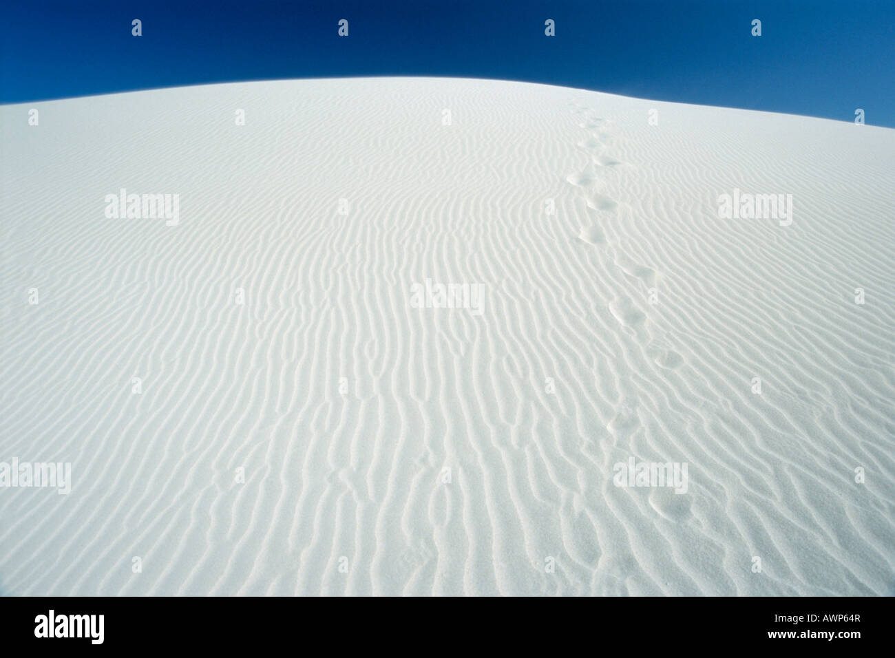 Plage de sable blanc, de dunes de Hoop Nature Reserve, Afrique du Sud, l'Afrique Banque D'Images