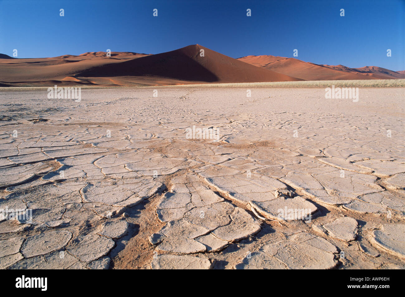Séché, cracked earth en face d'une dune star, Sossusvlei, Namibie, Afrique Banque D'Images