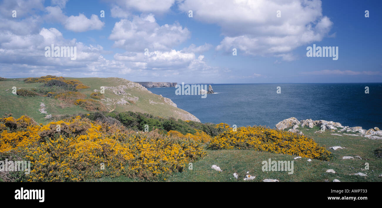 Vaste Haven South Wales Pembrokeshire Coast National Park Banque D'Images