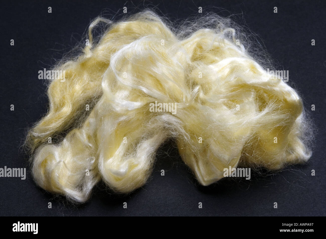 Cocon de ver à soie ver à soie noir sur fond sombre et résoudre les fibres de soie dissous Banque D'Images