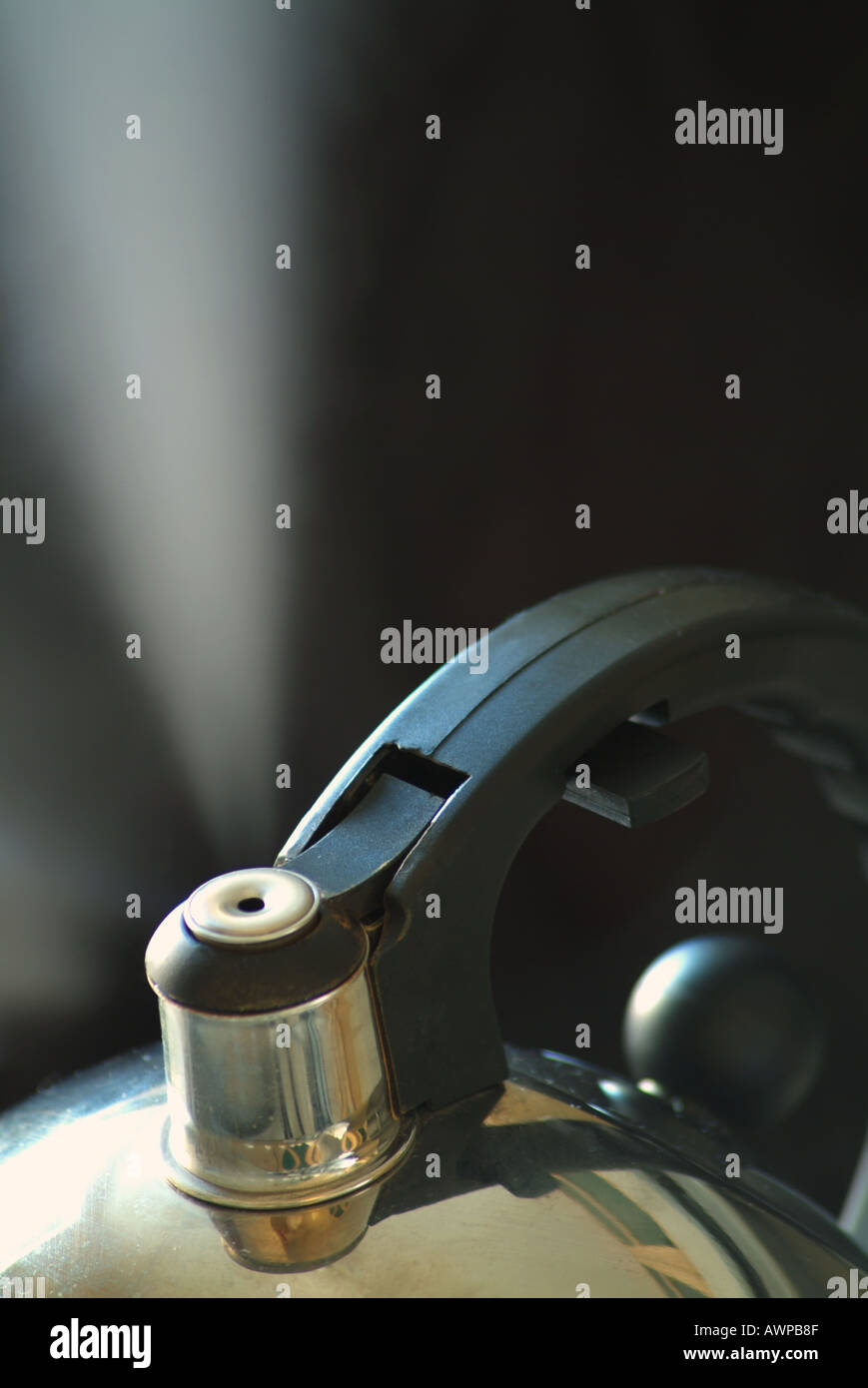 Électrique avec de la vapeur bouillante de la tuyère d'un sifflement de Banque D'Images