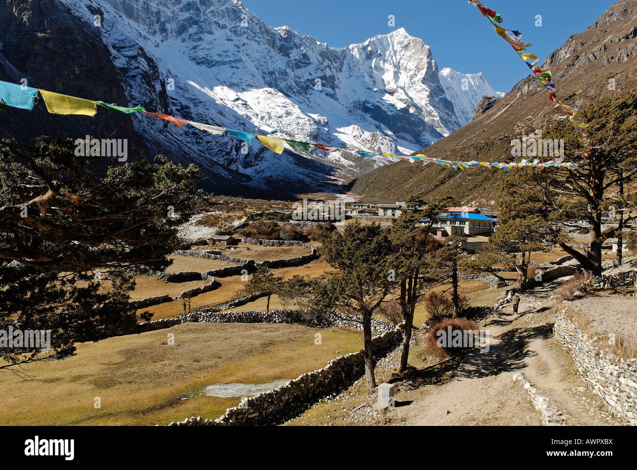 Village Sherpa Thame, Thame Khola vallée avec Tengkang Poche (6500), Bhote Koshi Tal, parc national de Sagarmatha, Khumbu, Népal Banque D'Images