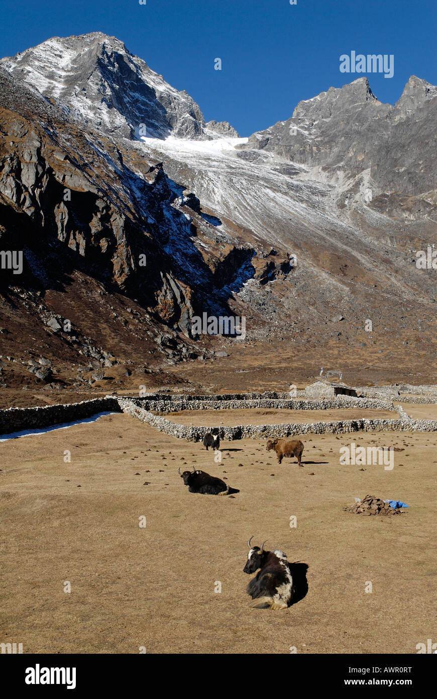 Village Sherpa (Luza 4360), Parc national de Sagarmatha, Khumbu Himal, Népal Banque D'Images