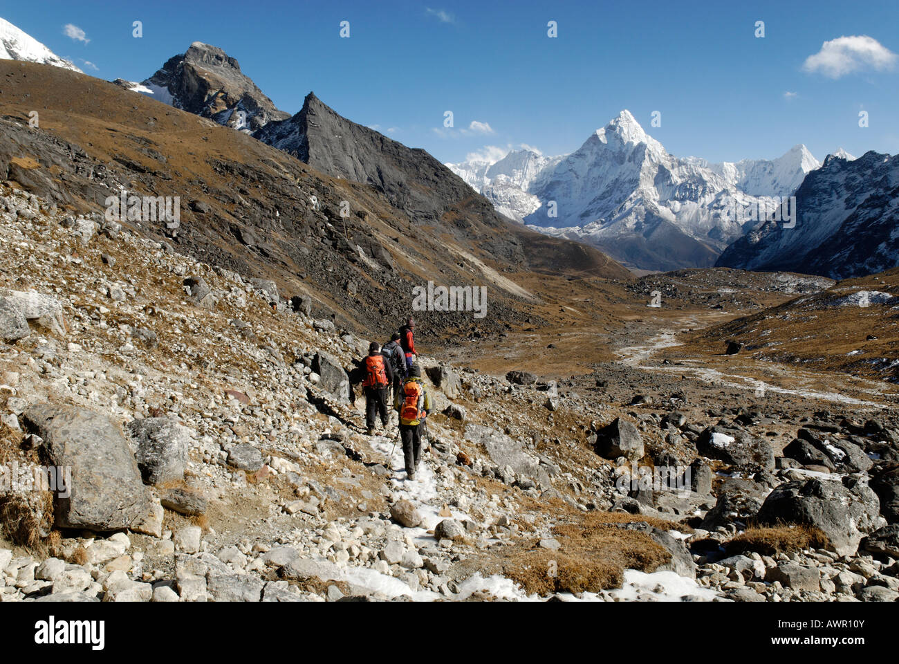 La vallée de Chola Khola avec l'Ama Dablam (6856), Khumbu Himal, parc national de Sagarmatha (Népal) Banque D'Images