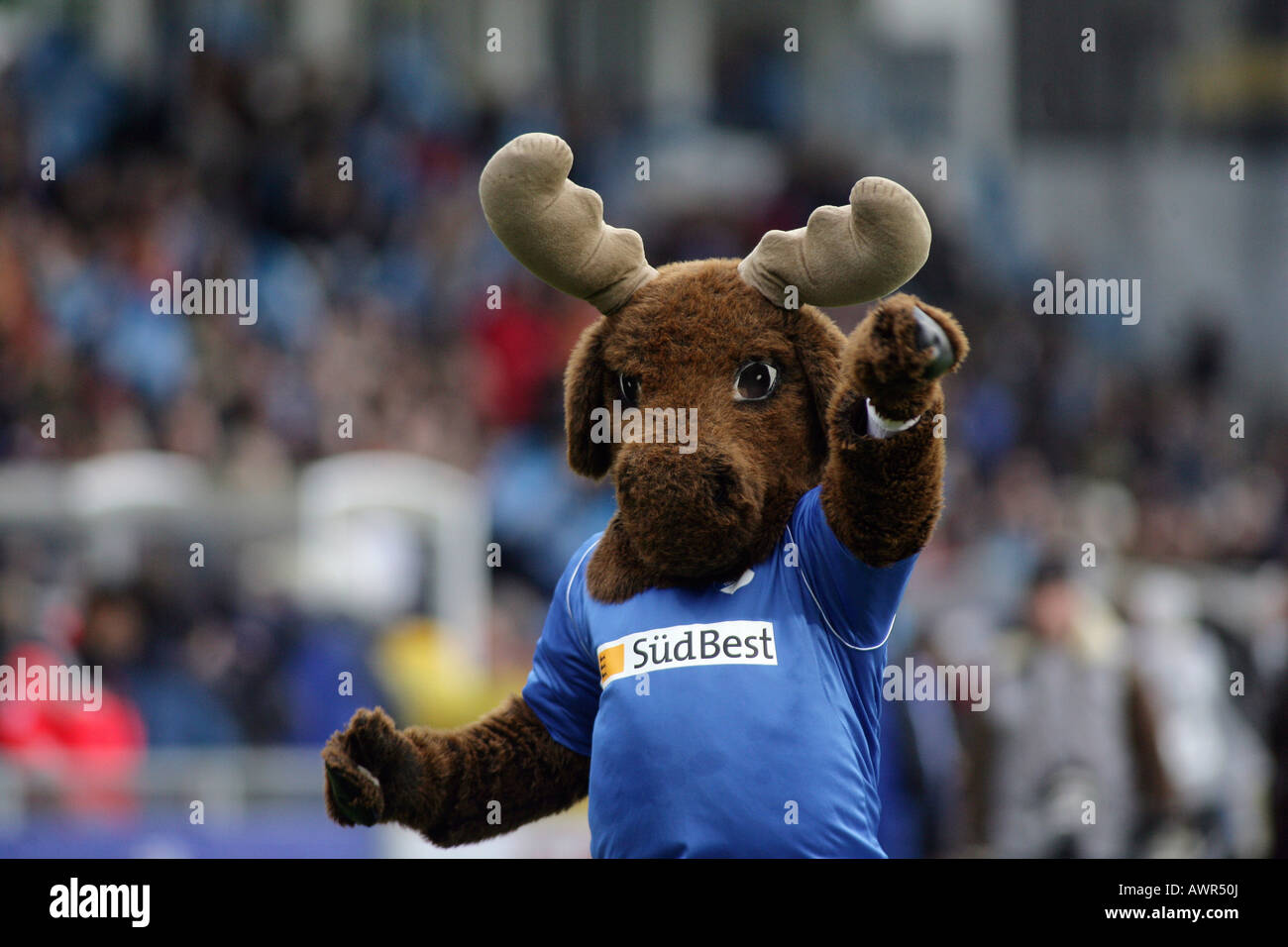 Hoffi la mascotte du club de football allemand TSG Hoffenheim, Allemagne Banque D'Images