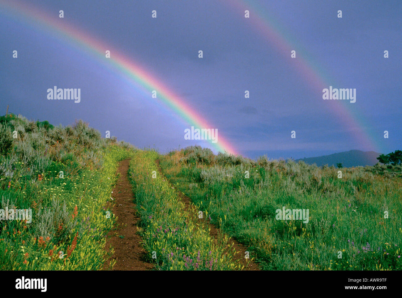 Double arc-en-ciel sur Owl Creek Road près de Aspen Colorado United States Banque D'Images