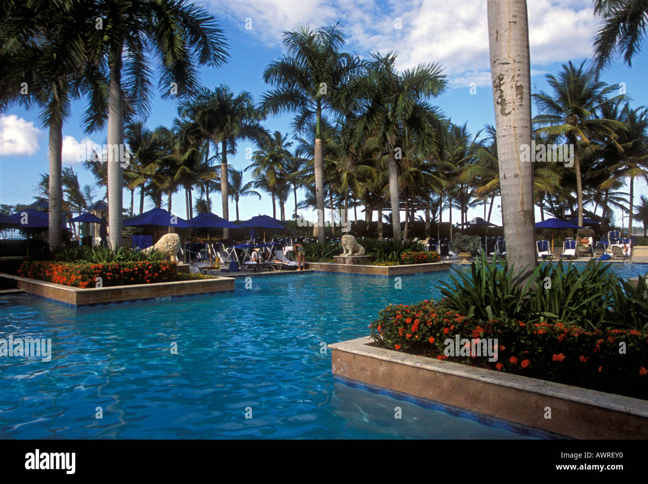 Piscine d'eau douce, piscine, Ritz-Carlton San Juan Hotel Spa and Casino, The Ritz-Carlton San Juan Hotel, Isla Verde, Puerto Rico, Caroline Banque D'Images