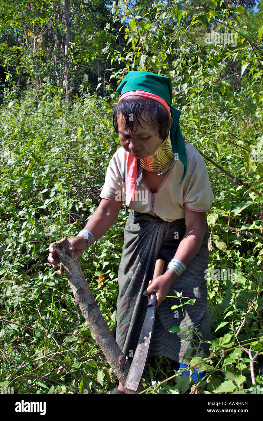 Long cou Karen hill tribe femme coupe du bois Ban Huay le nord de la Thaïlande Banque D'Images
