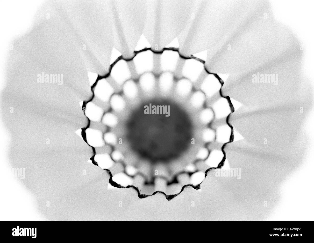 Volant, close-up, b&w. Banque D'Images