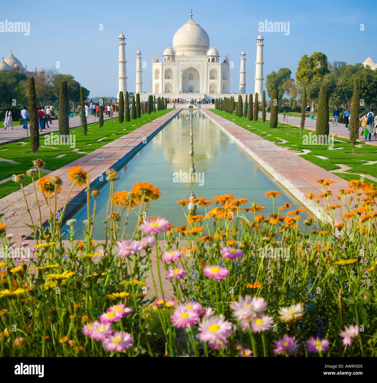 Les fleurs et le Taj Mahal à Agra Inde Banque D'Images
