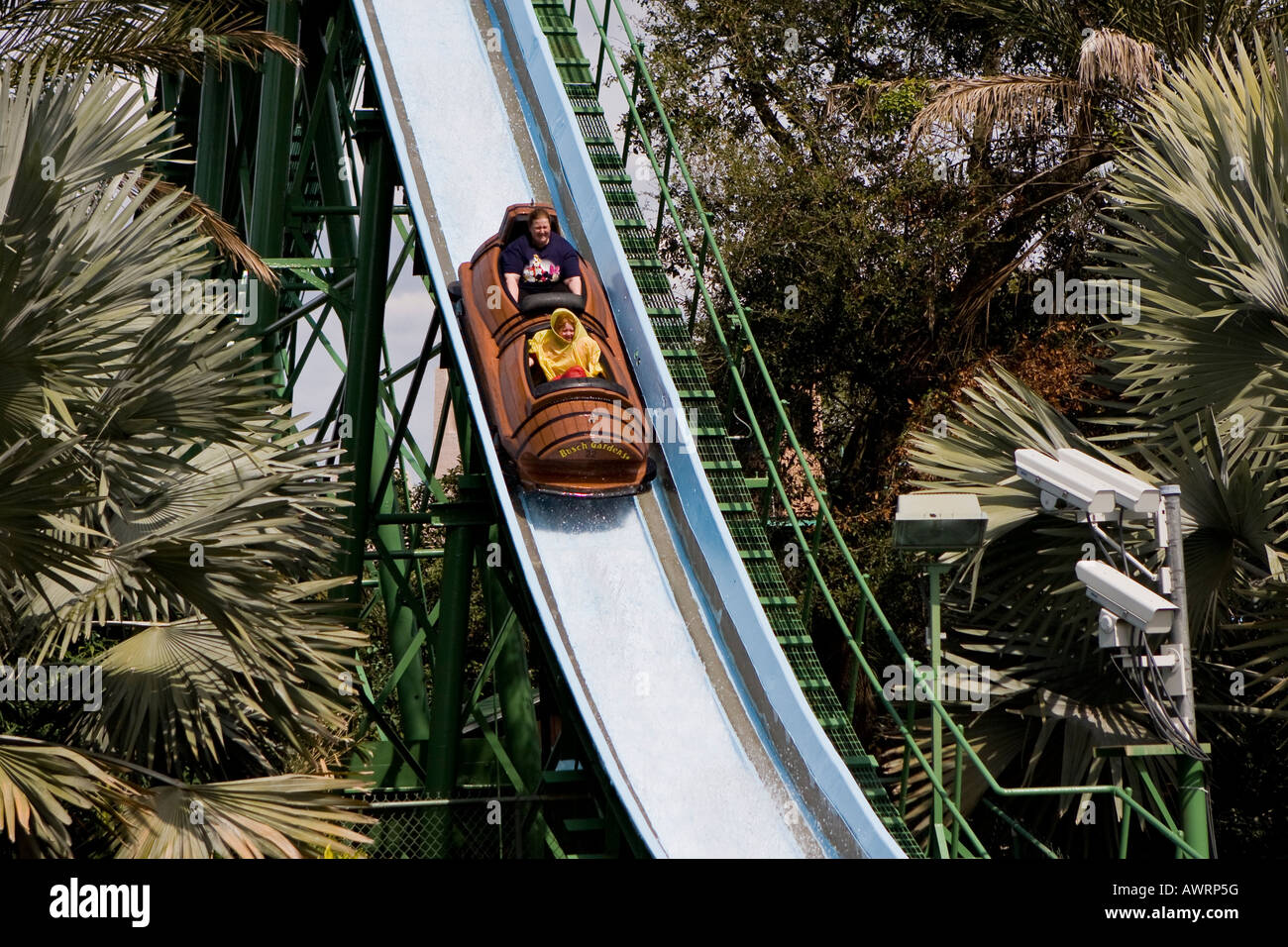 Log Flume Ride at Busch Gardens Florida USA Banque D'Images