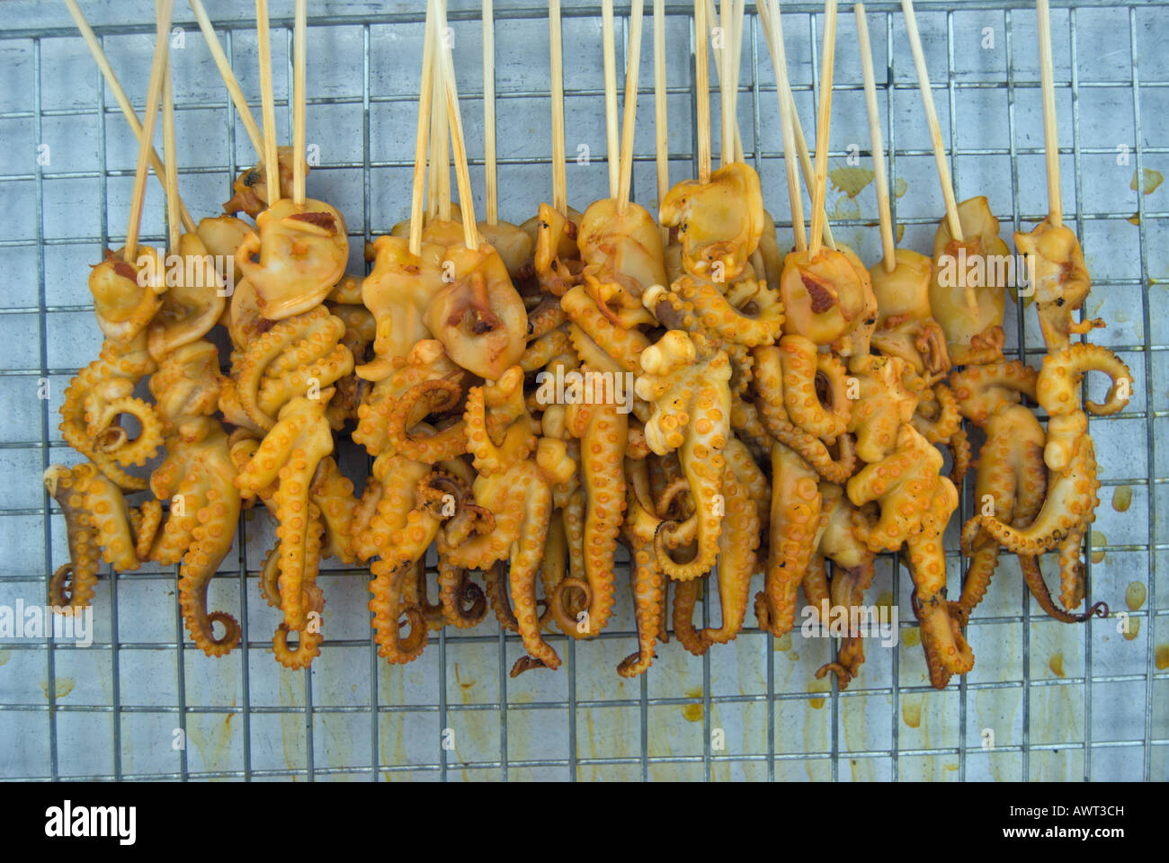 Bébé fraichement grillés octopus sur des bâtons, offert dans un marché à phetchabun, Thaïlande Banque D'Images