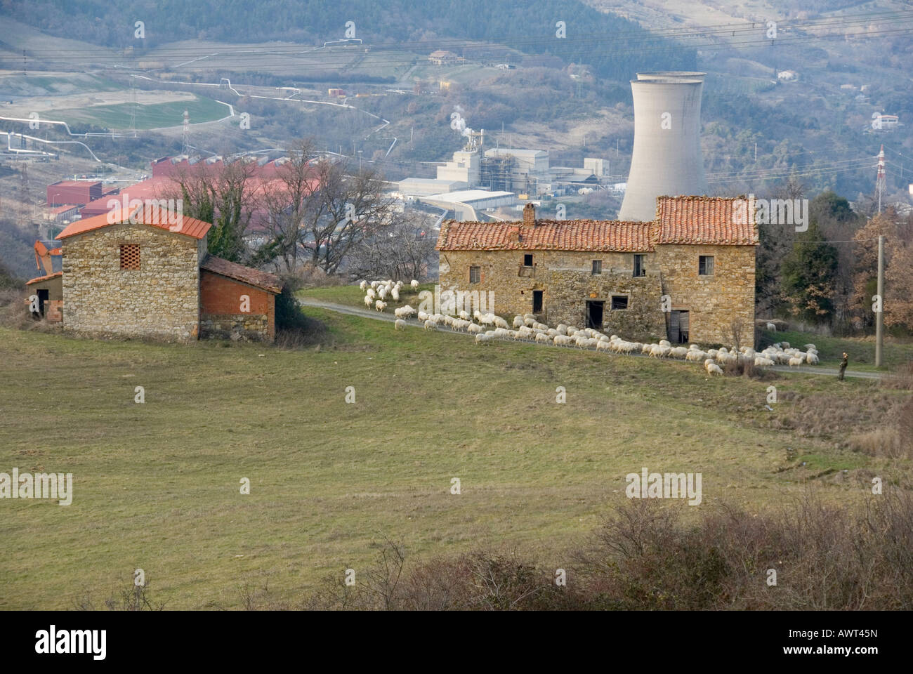 Bâtiments de ferme typique de la Toscane avec troupeau de moutons devant les tours de refroidissement de la centrale électrique de l'Énergie Géothermique Enel Banque D'Images