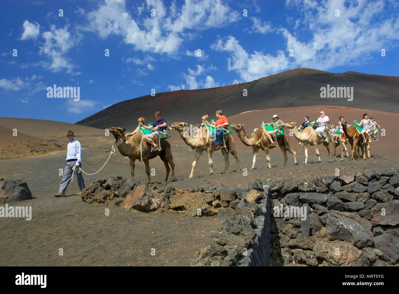 LANZAROTE TIMANFAYA train Camel trek trekking avec les touristes dans le Parc National de Timanfaya Lanzarote Iles Canaries Espagne Banque D'Images