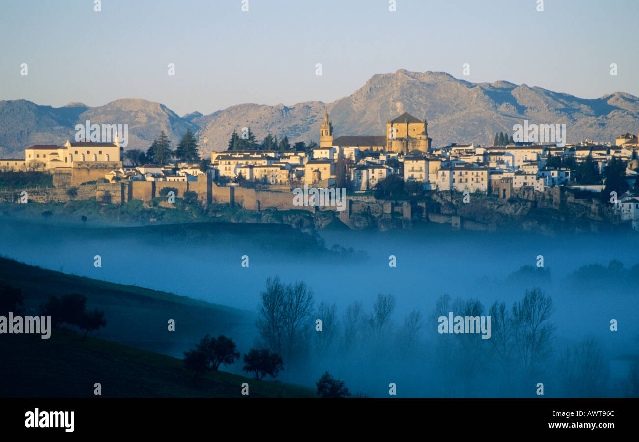 Ronda, dans la province de Malaga Andalousie Espagne. Vallée avec brume matinale Moody photographie de paysage arbres montagnes Banque D'Images