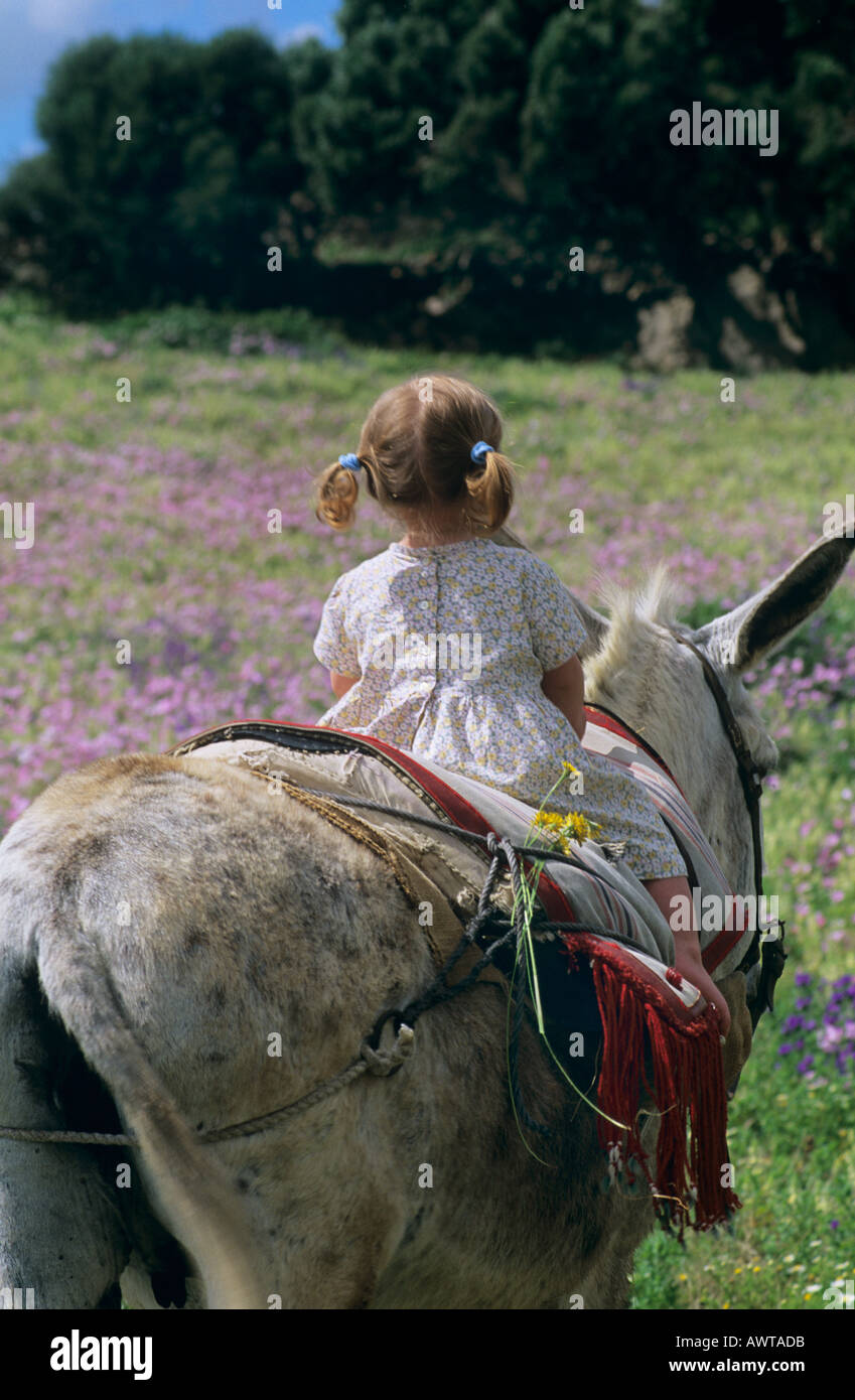Petite fille sur Donkey dans un champ de fleurs sauvages, Andalousie, espagne. Costa de la Luz Banque D'Images