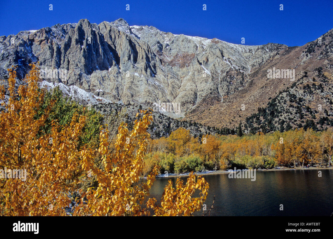 Couleurs d'automne au lac condamné dans la Sierra Banque D'Images