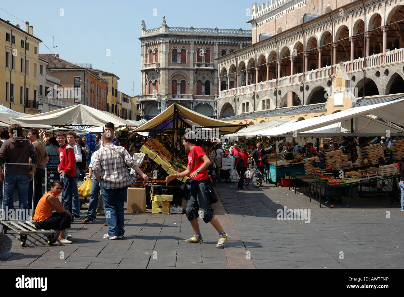 Les gens au marché alimentaire de la Piazza delle Erbe, Padoue, Italie, Europe Banque D'Images
