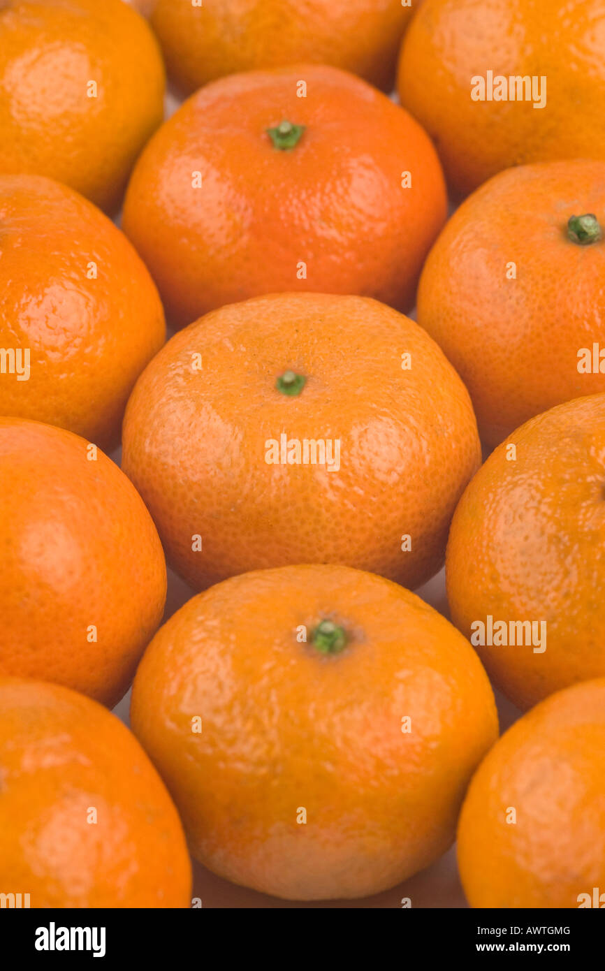 La mandarine satsuma Mandarin / / / fruits orange Clémentine Banque D'Images