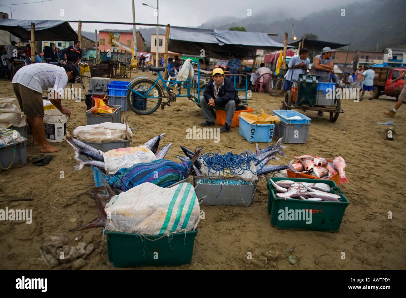 Les hommes avec des caisses de poisson frais au port de pêche de Puerto Lopez Equateur Amérique du Sud Banque D'Images