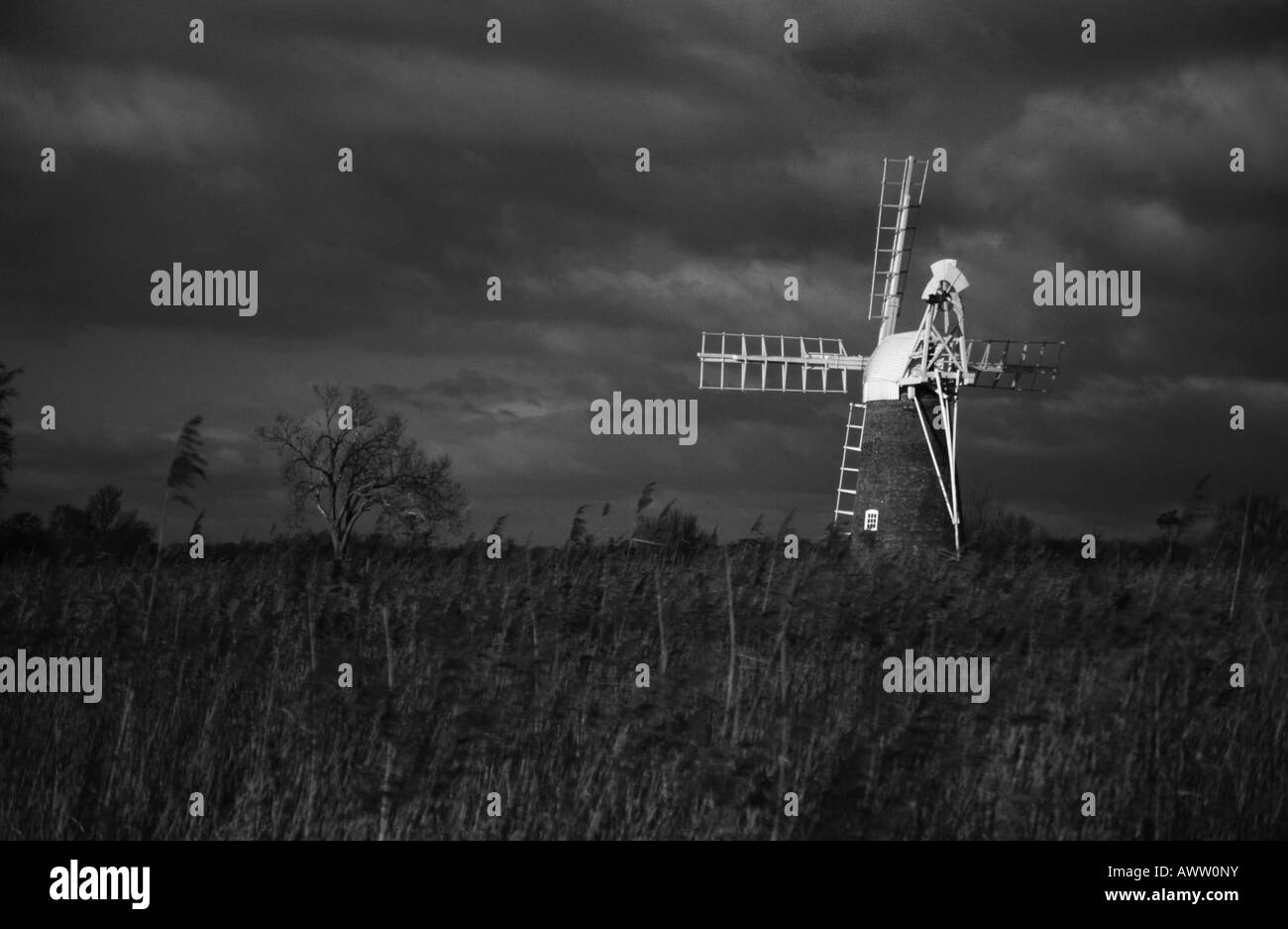 Turf Fen pompe éolienne Vue à travers une roselière en noir et blanc Banque D'Images