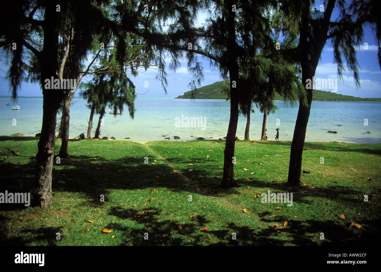 Les arbres à proximité de village de pêche dans la Lagune Banque D'Images