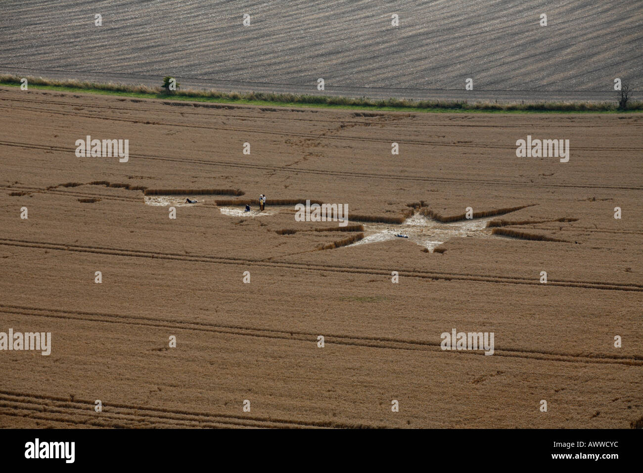 Crop Circles Banque D'Images