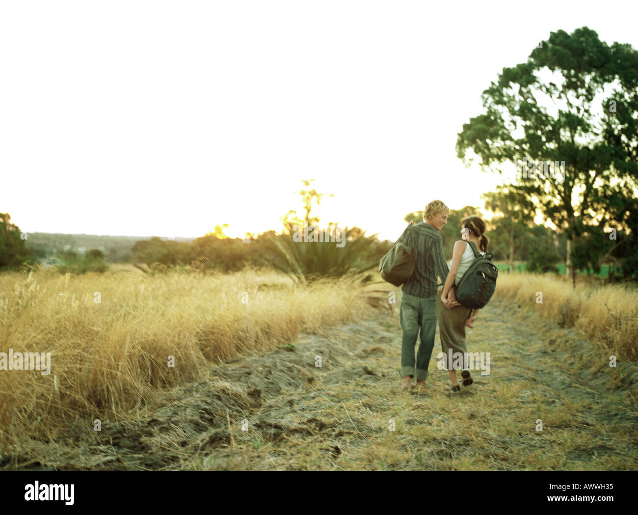 Couple en train de marcher à travers champ, vue arrière Banque D'Images