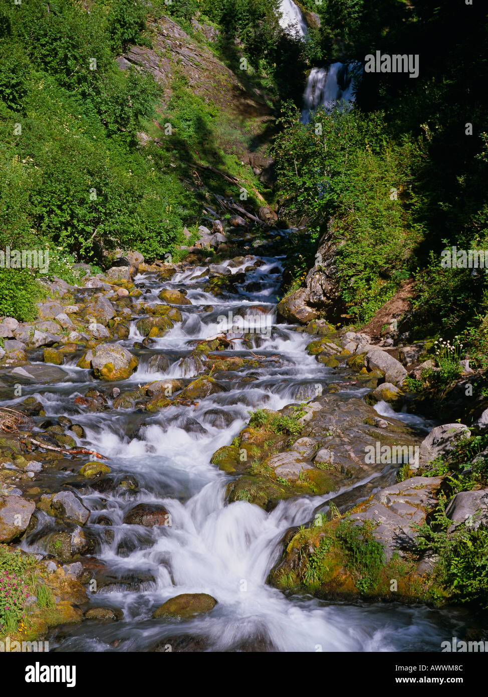 Ruisseau de montagne Mt Rainier National Park, Washington, USA Banque D'Images