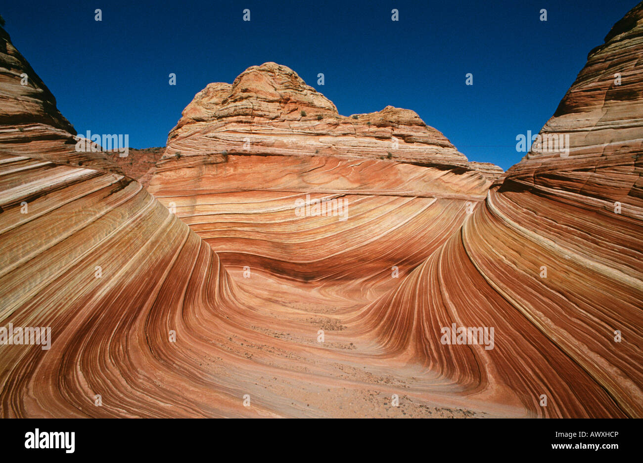 USA, Arizona, Paria Canyon-Vermilion Cliffs Wilderness, la vague, le grès rock formation Banque D'Images