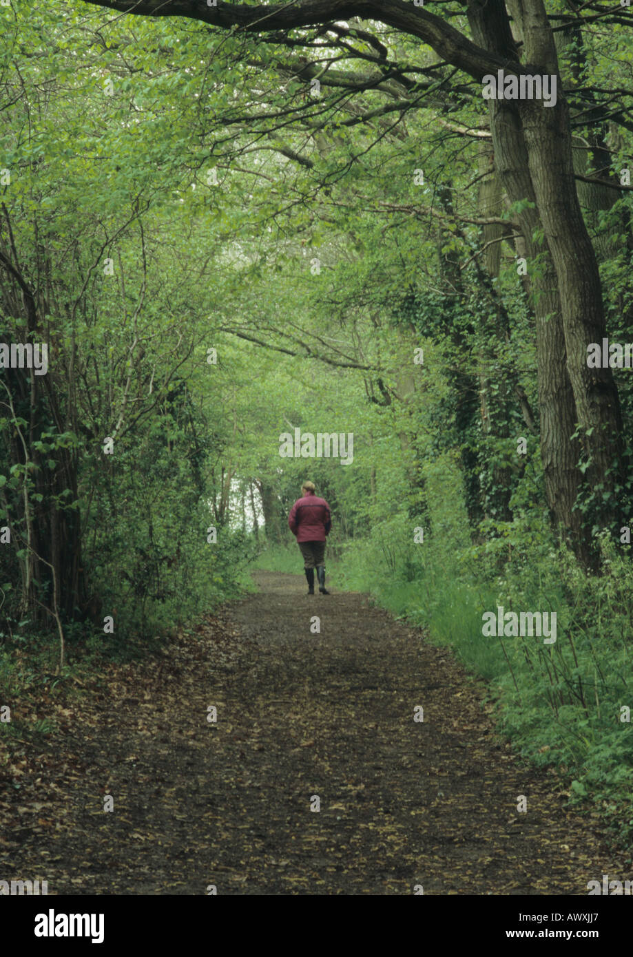 Femme en promenade dans la campagne du Suffolk, UK Banque D'Images